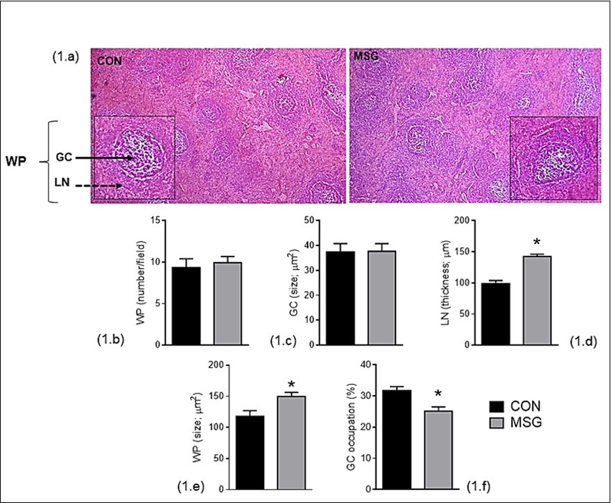Journal of Spleen and Liver Research -Swimming