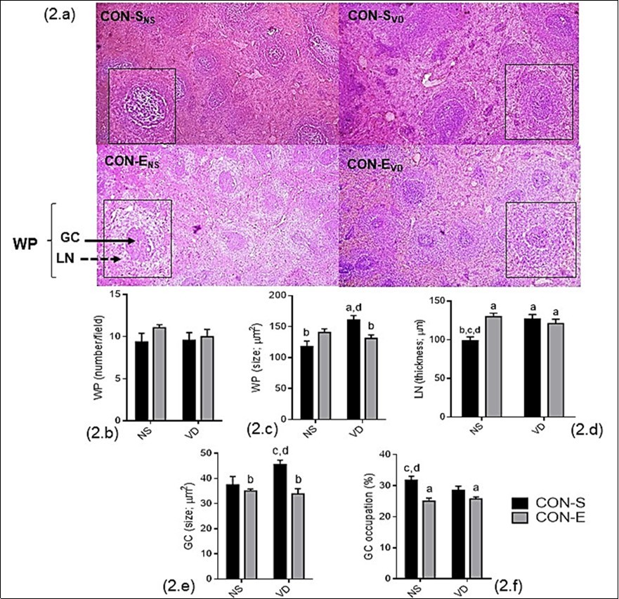 Journal of Spleen and Liver Research -Swimming