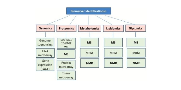 Journal Of Proteomics And Genomics Research-biomarkers