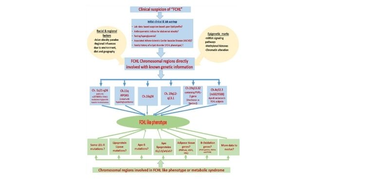 Journal Of Glycomics And Metabolism-familial combined hyperlipidemia (FCHL)