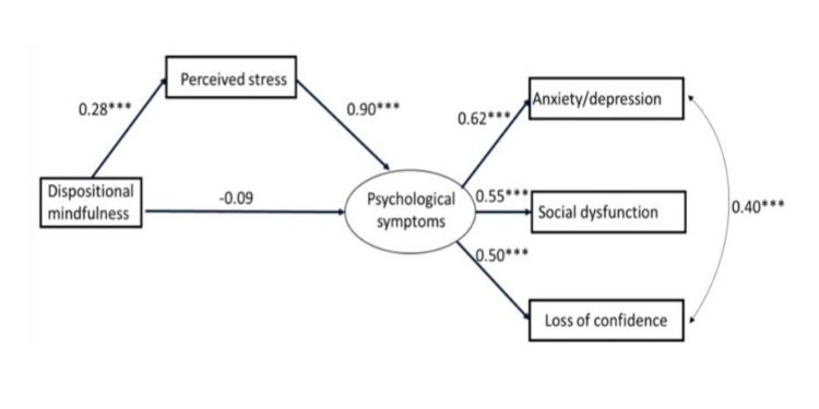 International Journal of Psychotherapy Practice and Research-Gastrointestinal Cancer