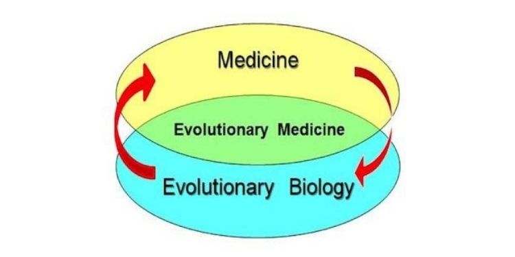 Journal of Evolutionary Science-Hox genes