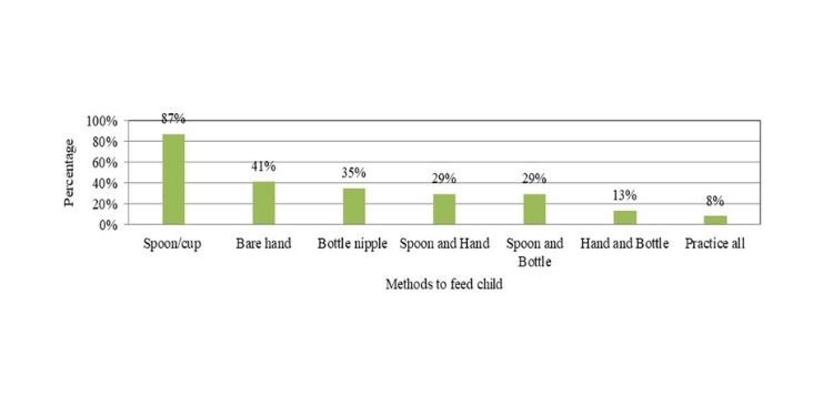 Journal of Food Science and Hygiene-Complementary food