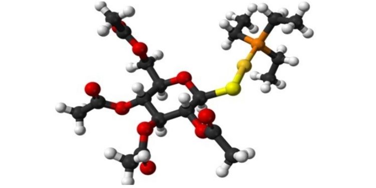 Journal of Lung Cancer Epidemiology-Cancer