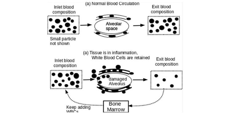 Journal of Respiratory Diseases-Coronavirus COVID-19