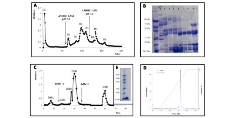 Journal of Skeletal Muscle-Snake