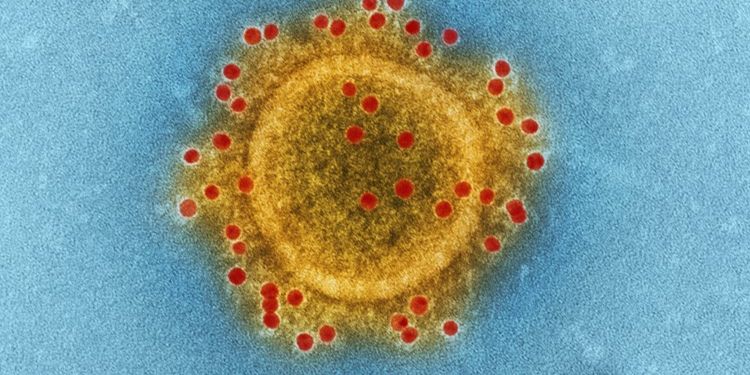 Coronavirus