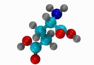 Amino Acids